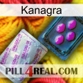 Kanagra 37